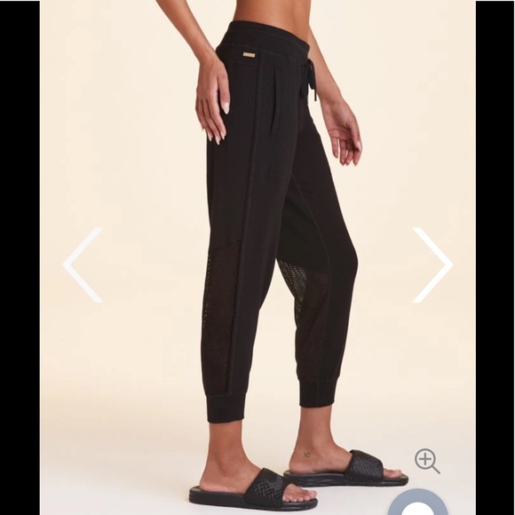 ❌SOLD❌ ALALA HERON JOGGER - BNWT! - Picture 2 of 10